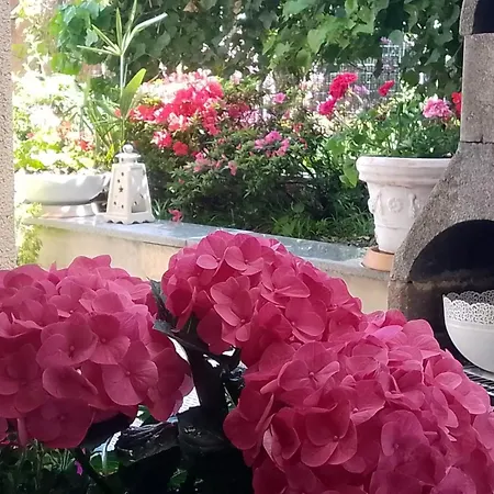 Casa Bella Vista Όπως